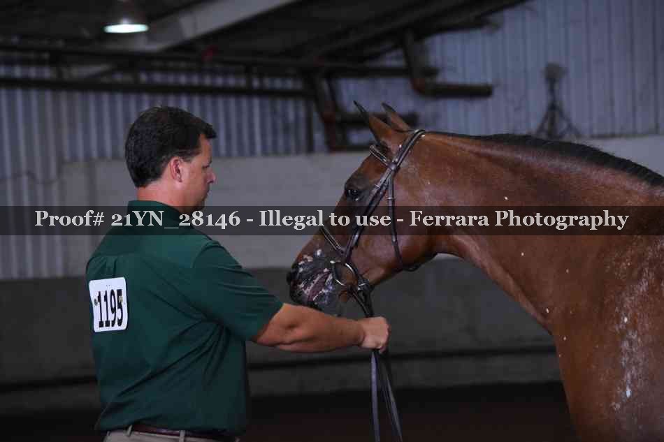 Proof 21YN_28146