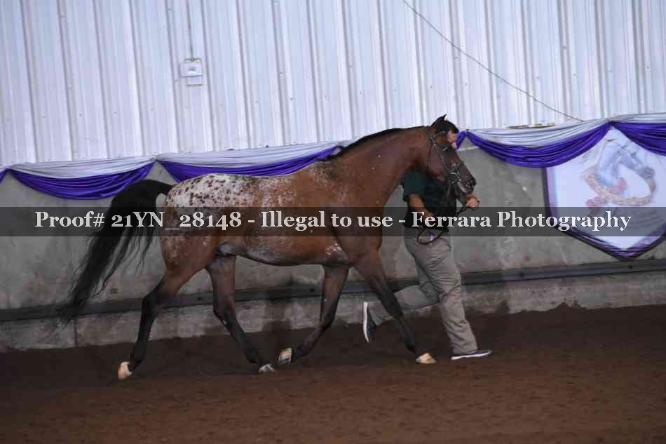 Proof 21YN_28148