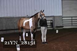 21YN_28151 proof