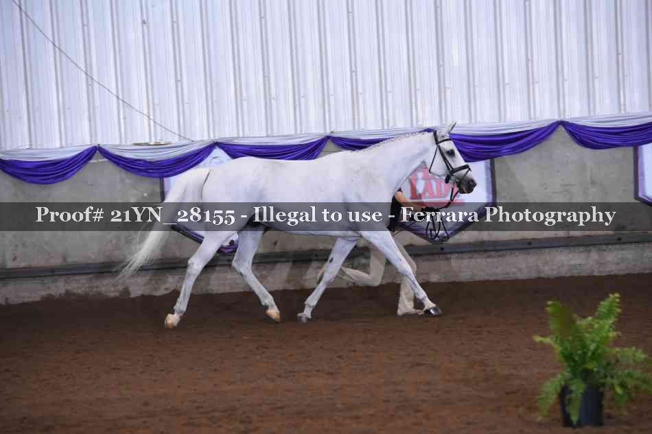 Proof 21YN_28155