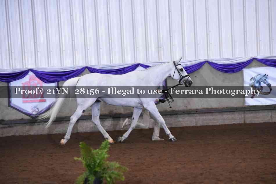 Proof 21YN_28156