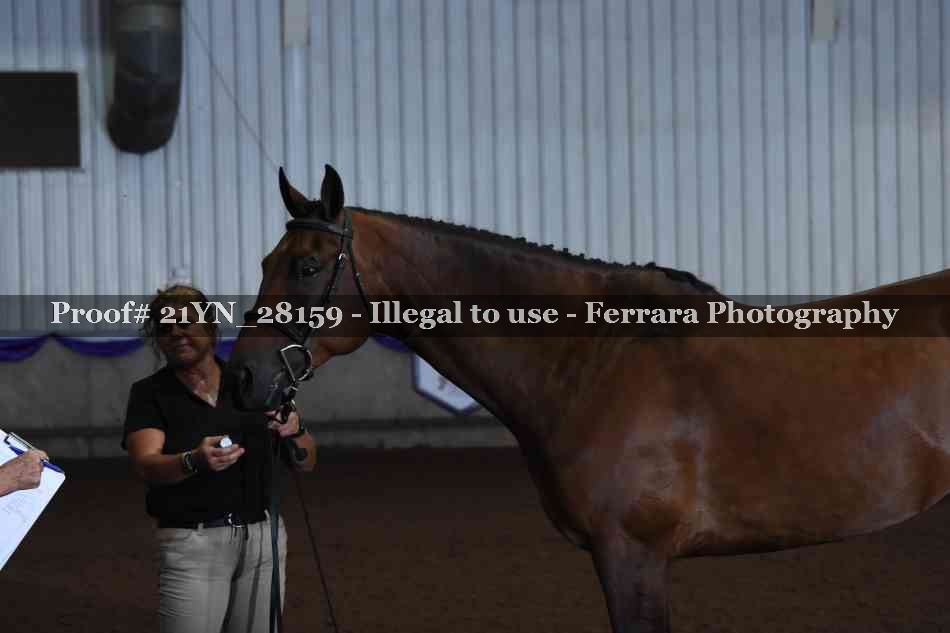 Proof 21YN_28159