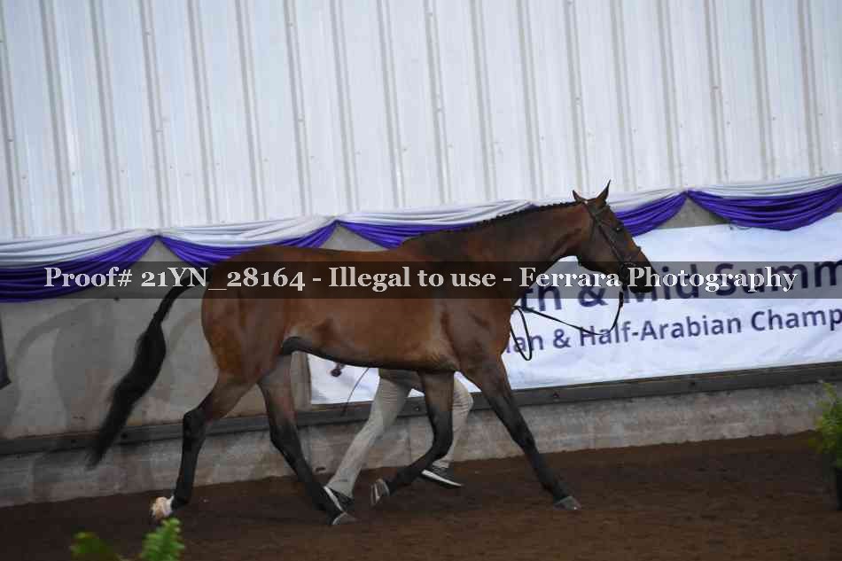 Proof 21YN_28164