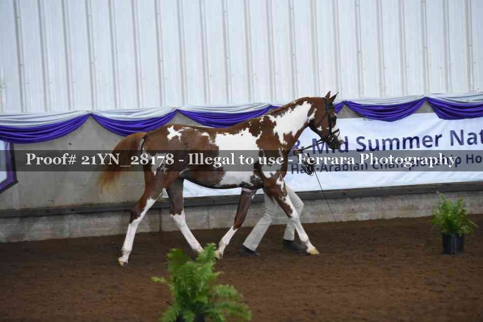 Proof 21YN_28178