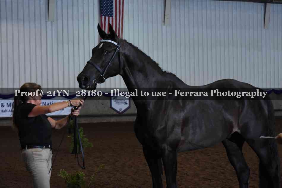 Proof 21YN_28180