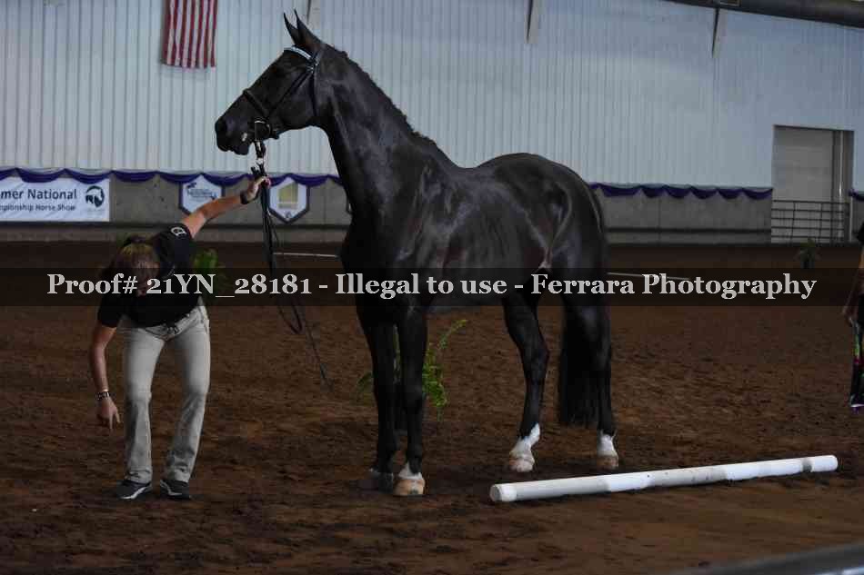 Proof 21YN_28181