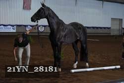 21YN_28181 proof