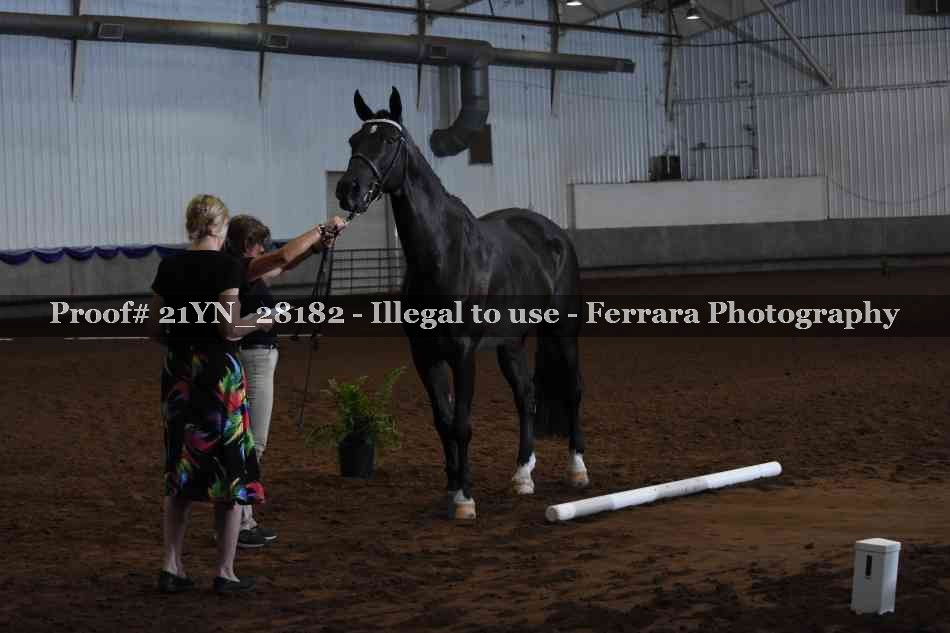 Proof 21YN_28182