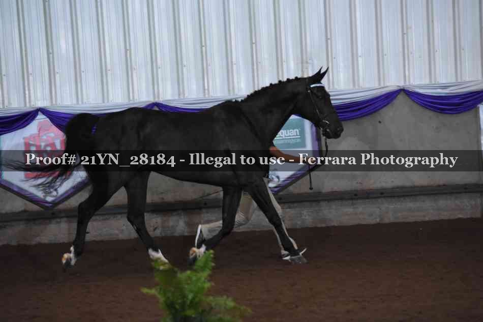 Proof 21YN_28184