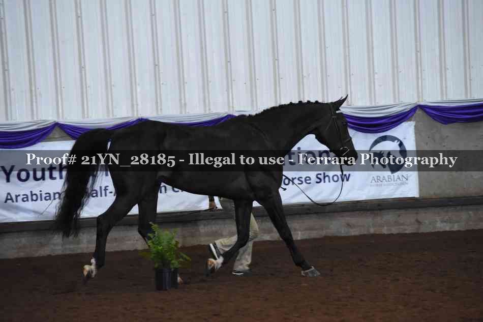 Proof 21YN_28185