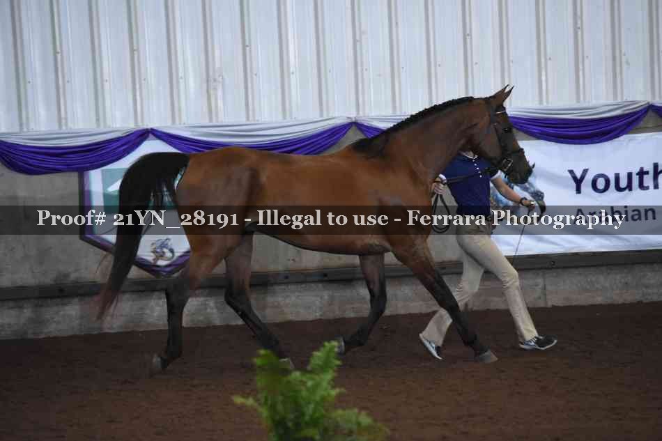 Proof 21YN_28191