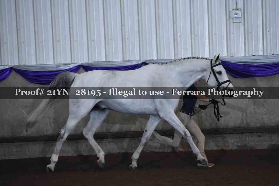Proof 21YN_28195