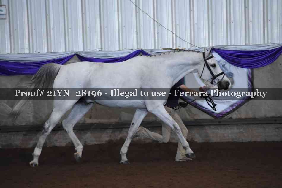 Proof 21YN_28196
