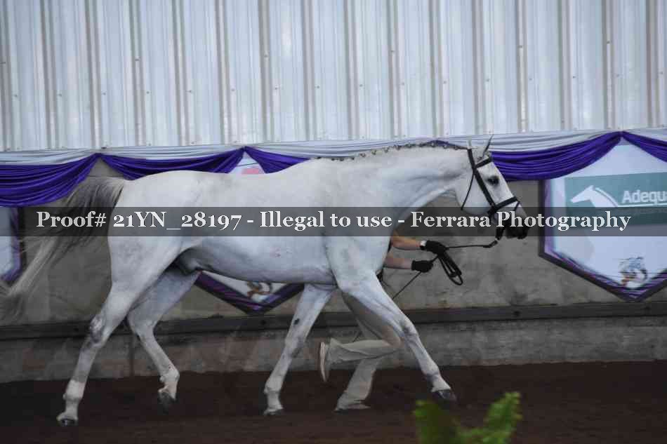 Proof 21YN_28197