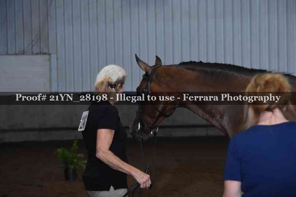 Proof 21YN_28198