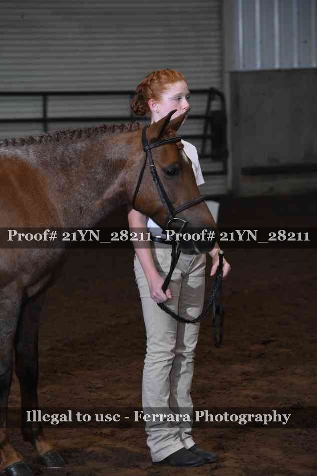 Proof 21YN_28211