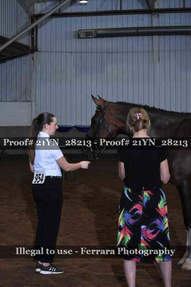 Proof 21YN_28213