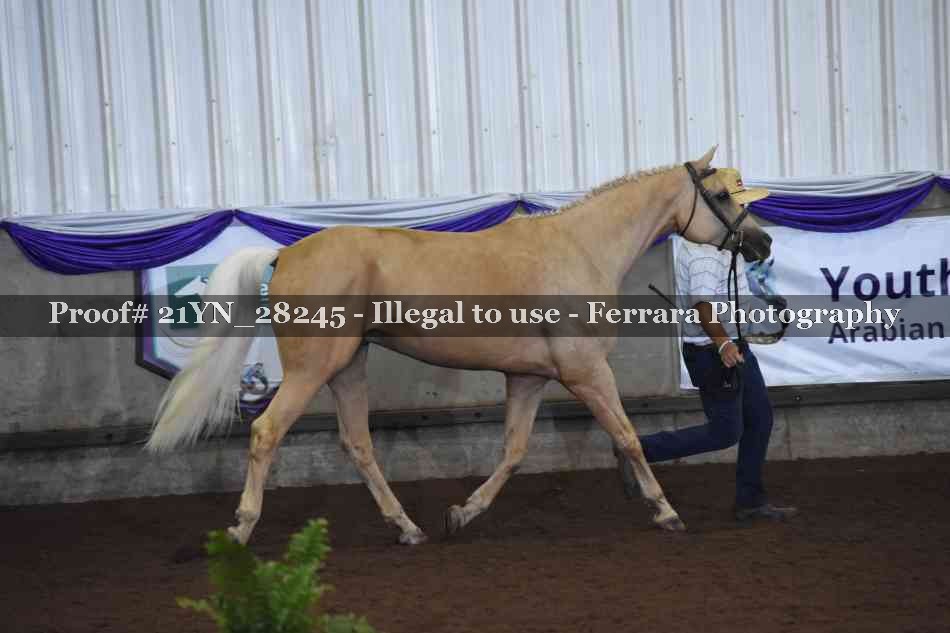 Proof 21YN_28245