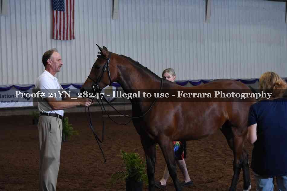 Proof 21YN_28247