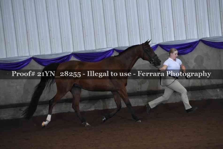 Proof 21YN_28255