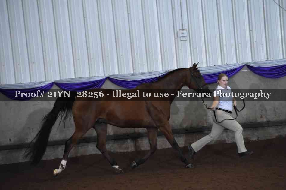 Proof 21YN_28256