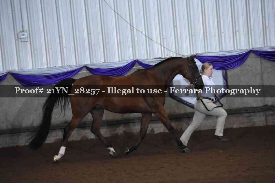 Proof 21YN_28257