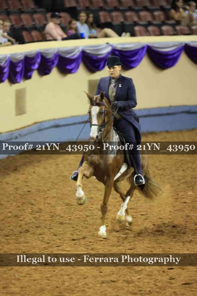 Proof 21YN_43950