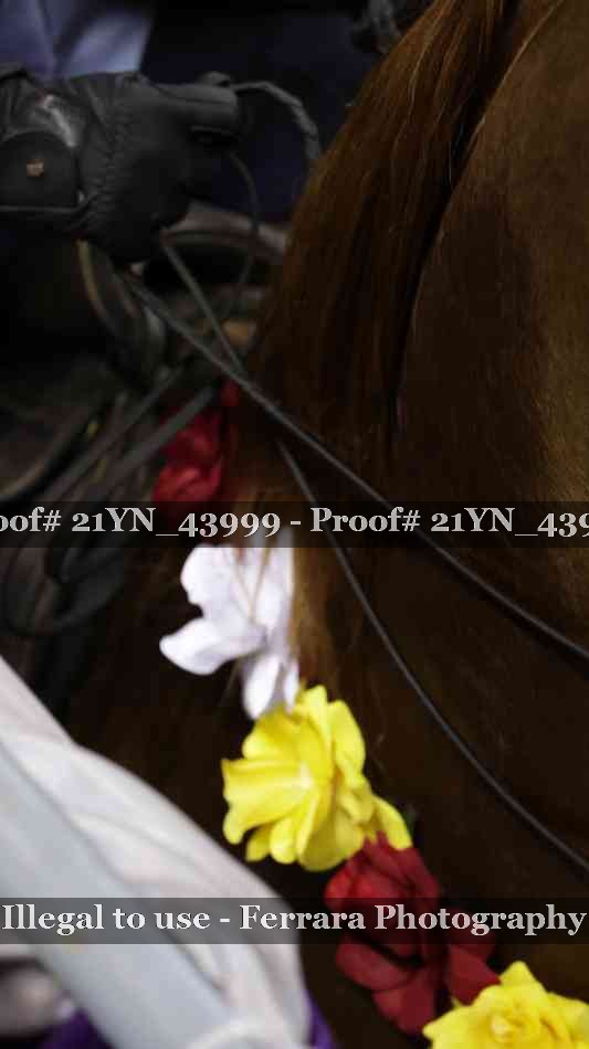 Proof 21YN_43999