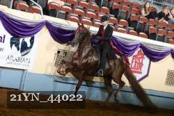 21YN_44022 proof