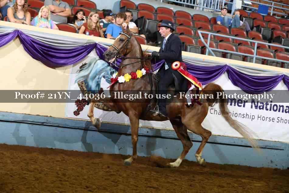 Proof 21YN_44036