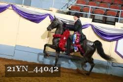 21YN_44042 proof