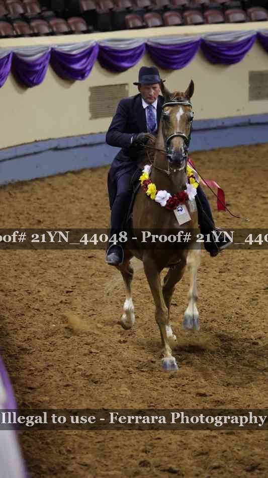 Proof 21YN_44048