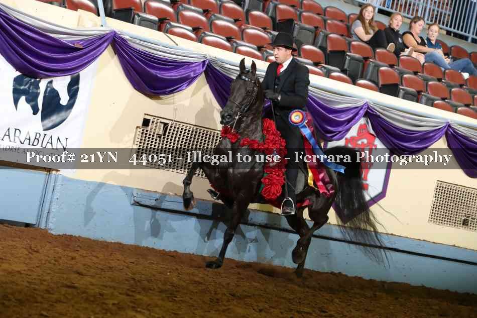 Proof 21YN_44051
