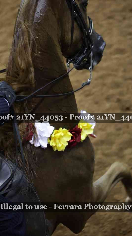 Proof 21YN_44053