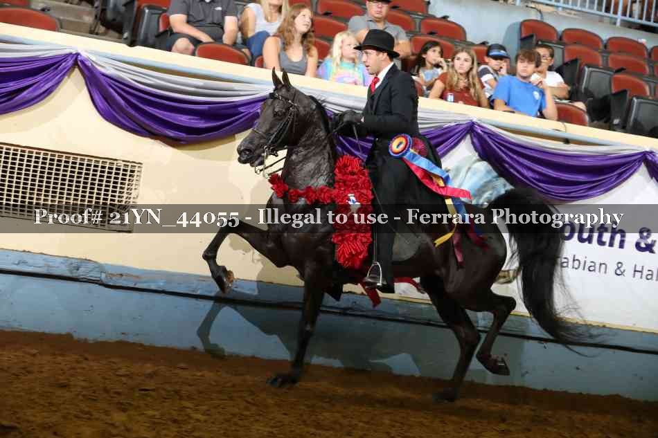 Proof 21YN_44055