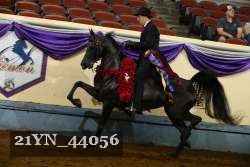 21YN_44056 proof