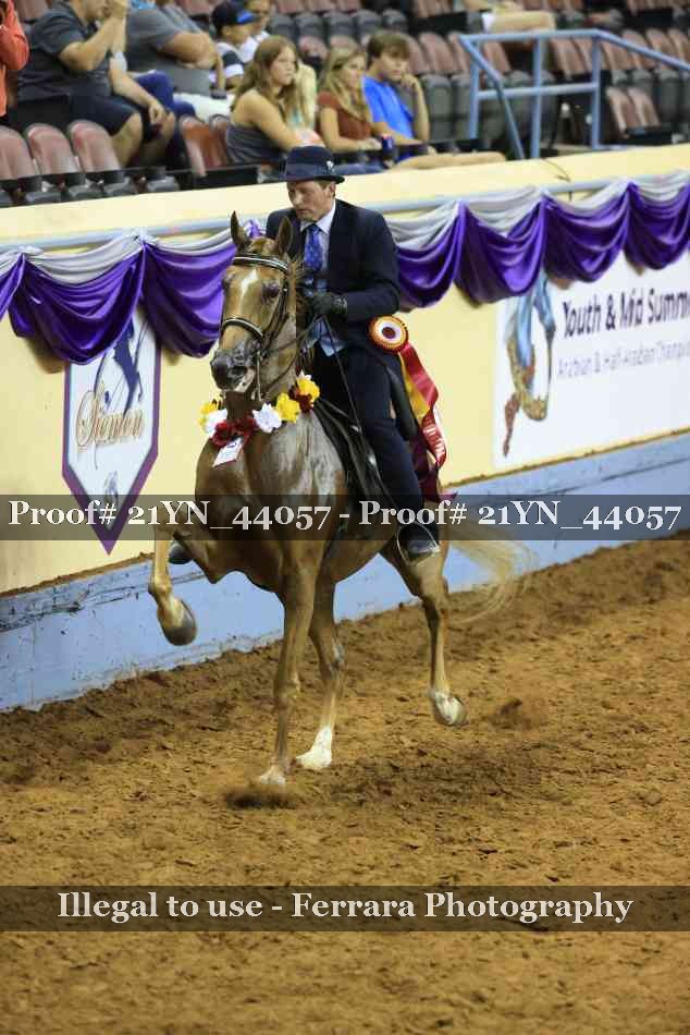 Proof 21YN_44057