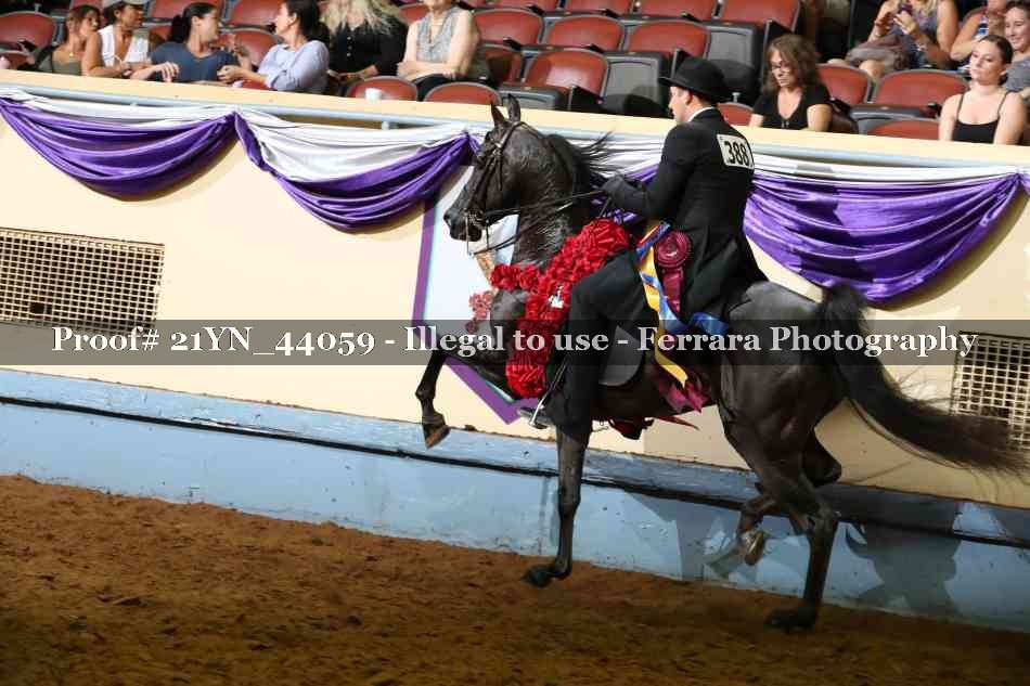 Proof 21YN_44059