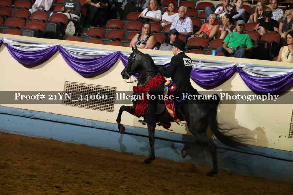 Proof 21YN_44060