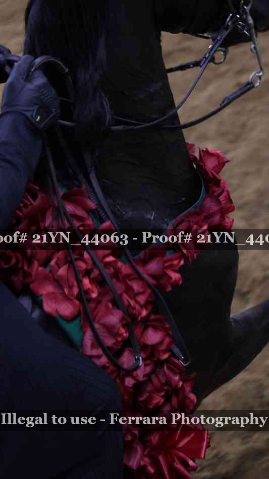 Proof 21YN_44063