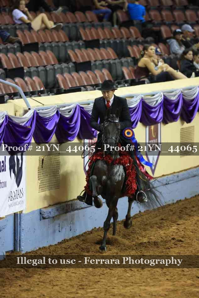 Proof 21YN_44065