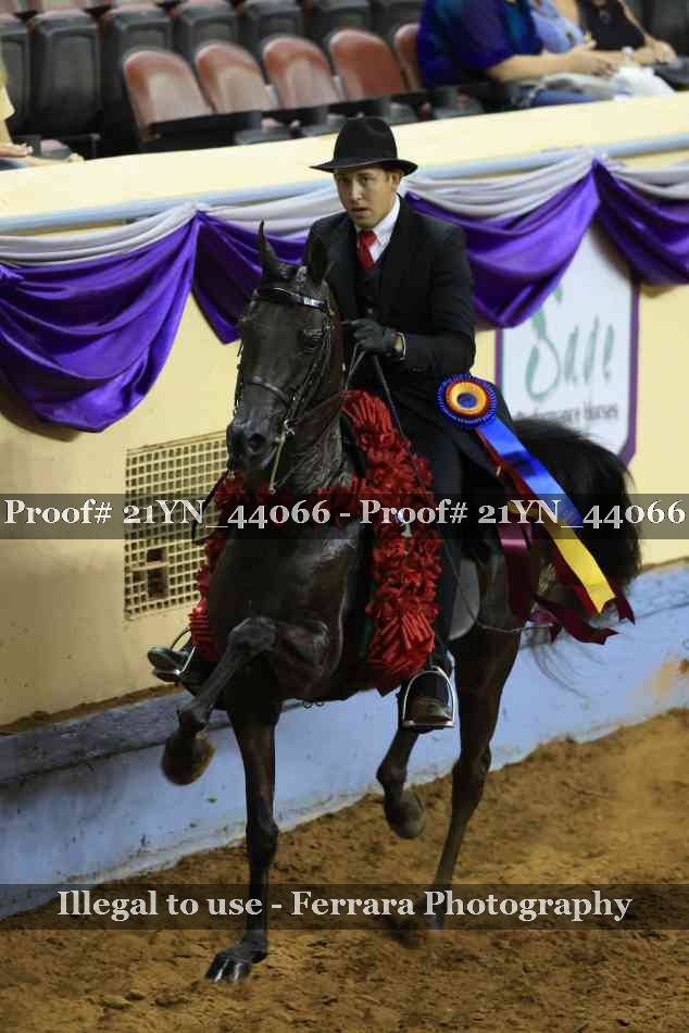 Proof 21YN_44066