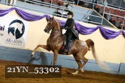 21YN_53302 proof
