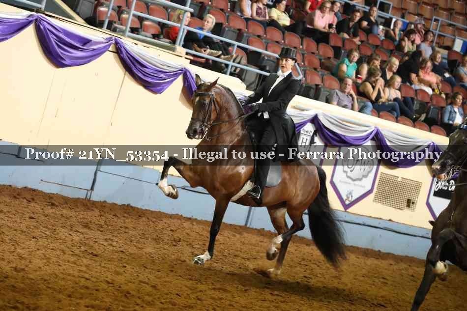 Proof 21YN_53354