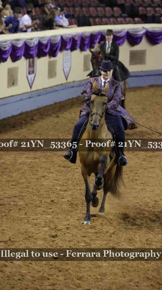 Proof 21YN_53365