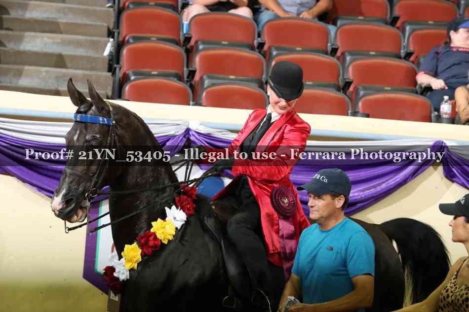 Proof 21YN_53405