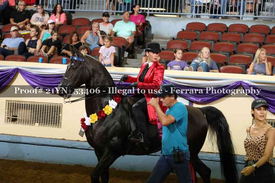 Proof 21YN_53406