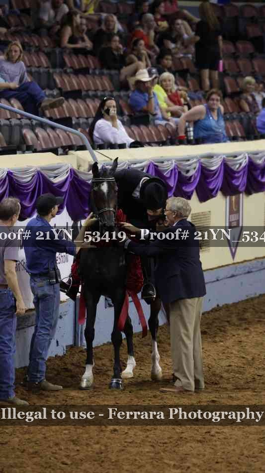 Proof 21YN_53419