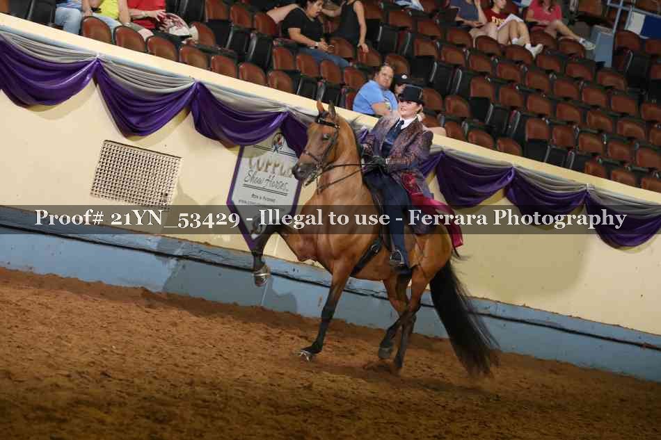 Proof 21YN_53429