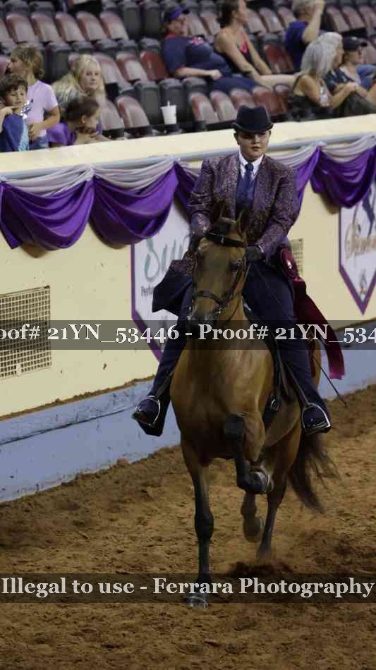 Proof 21YN_53446